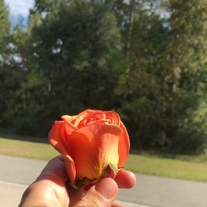 Meet your Posher, Hollie